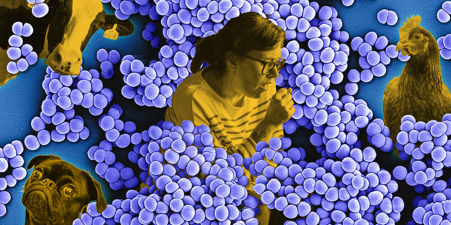 How the misuse of antibiotics has led to a silent pandemic