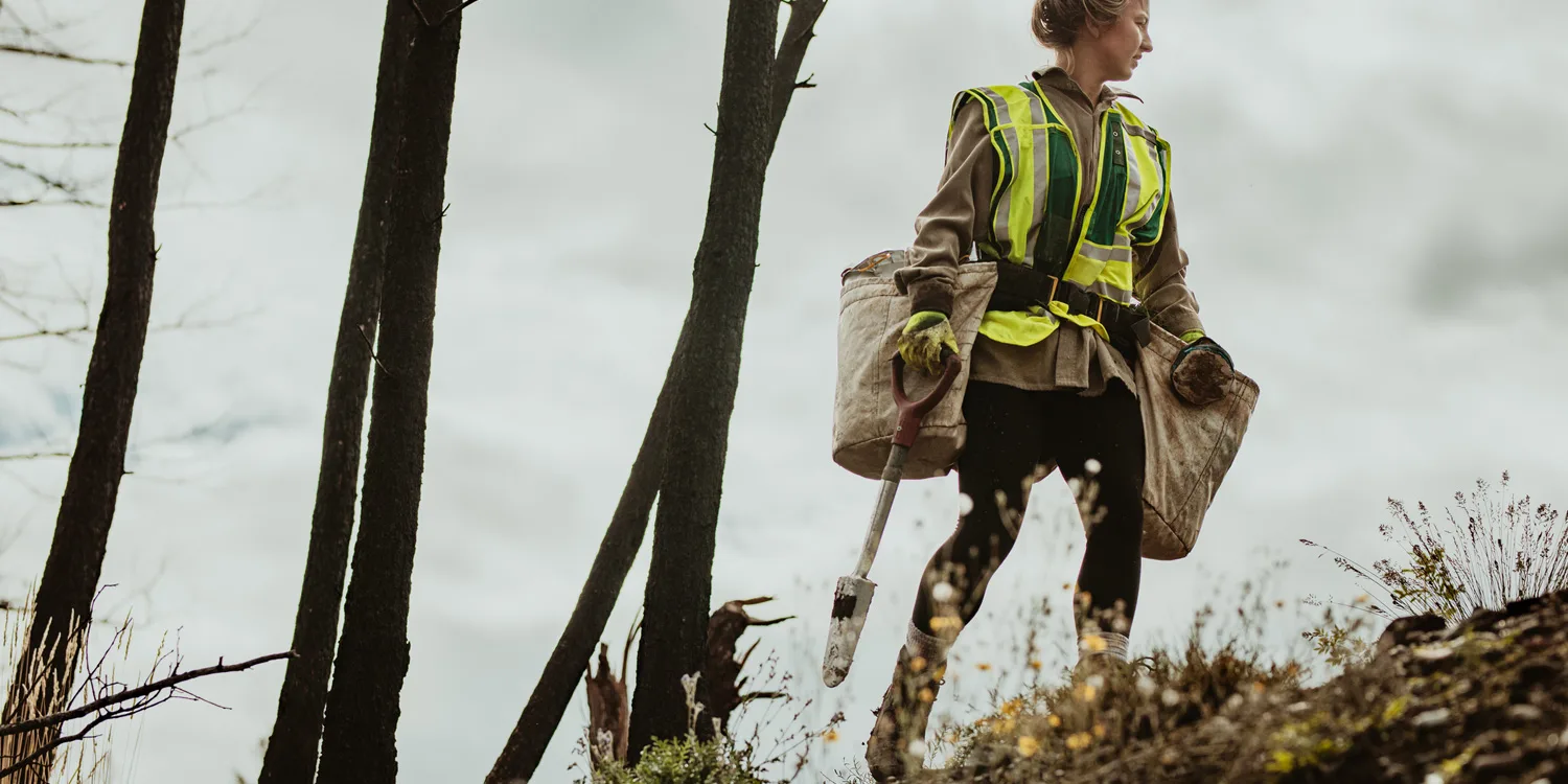 A wild proposal: Tools that can help restore nature