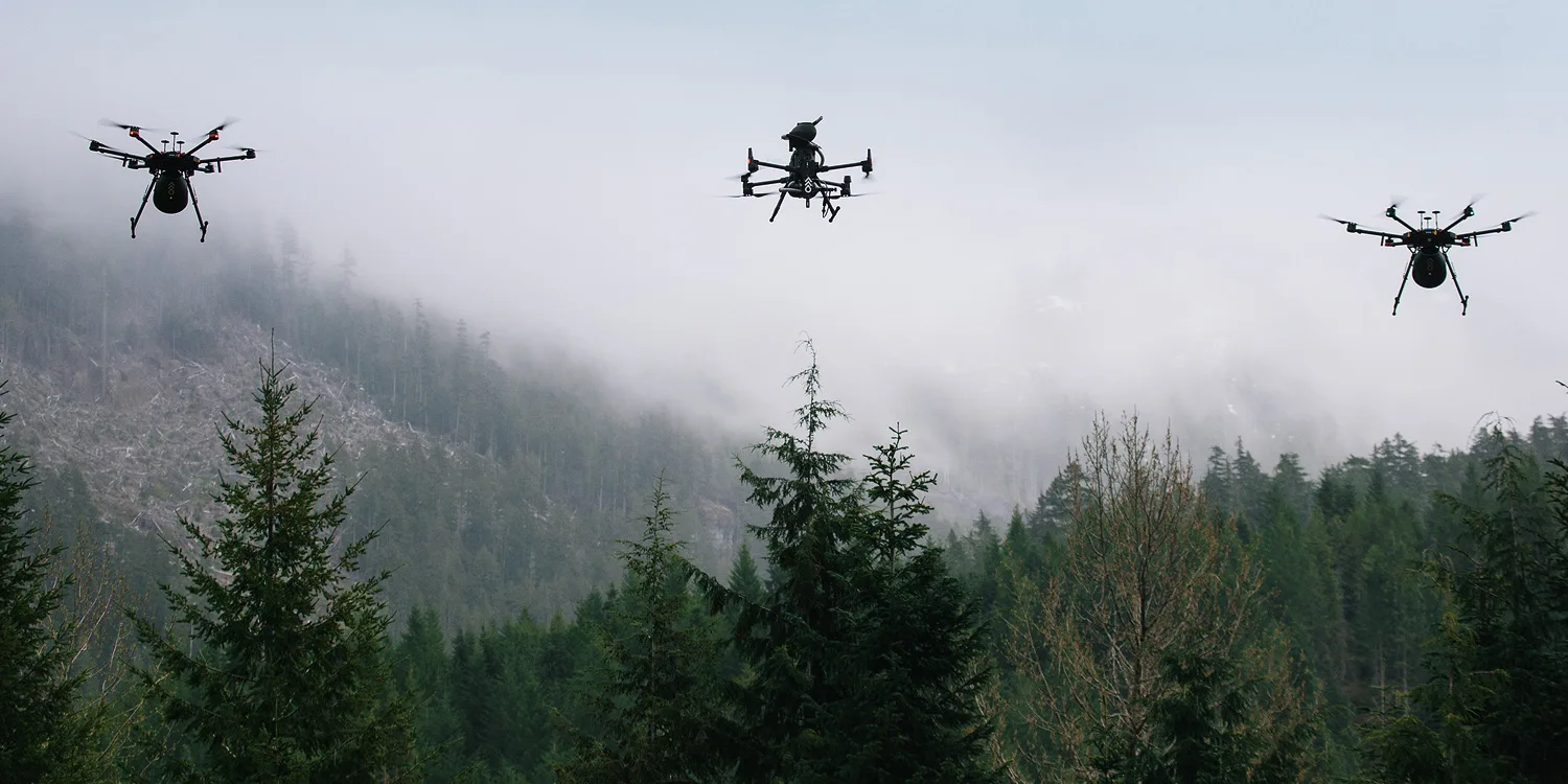 Flash Forest drones