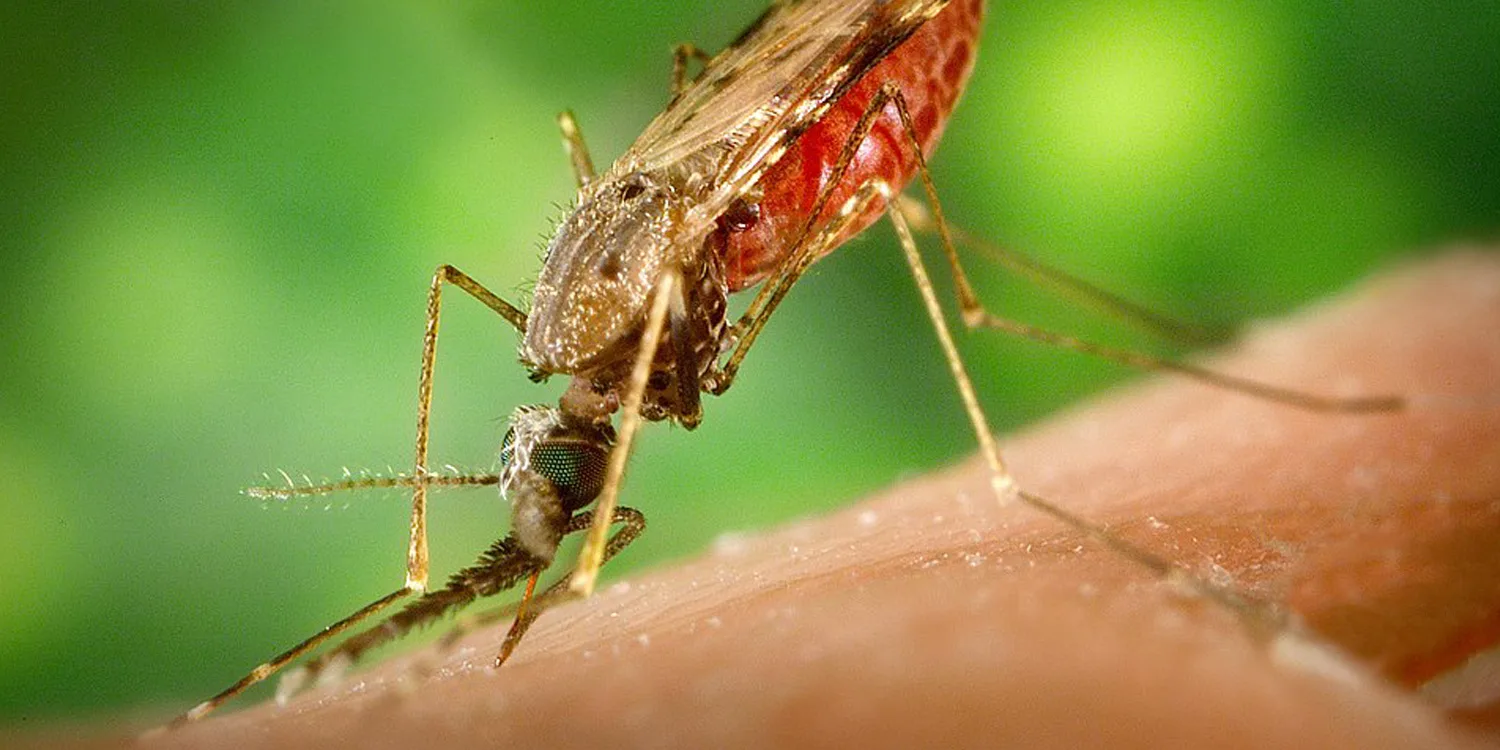 “These diseases don’t need visas”