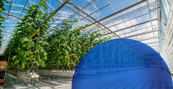 Mission from MaRS: Food and Agtech second cohort application webinar